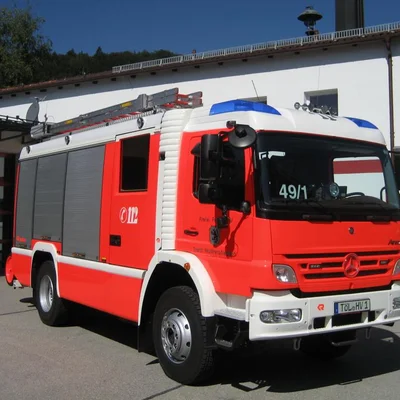 lf491.jpg
